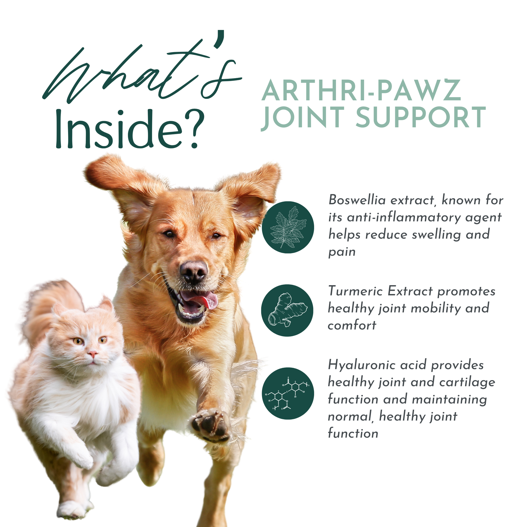 Dog and cat with Arthri-Pawz joint support ingredient icons and 'what's inside' title