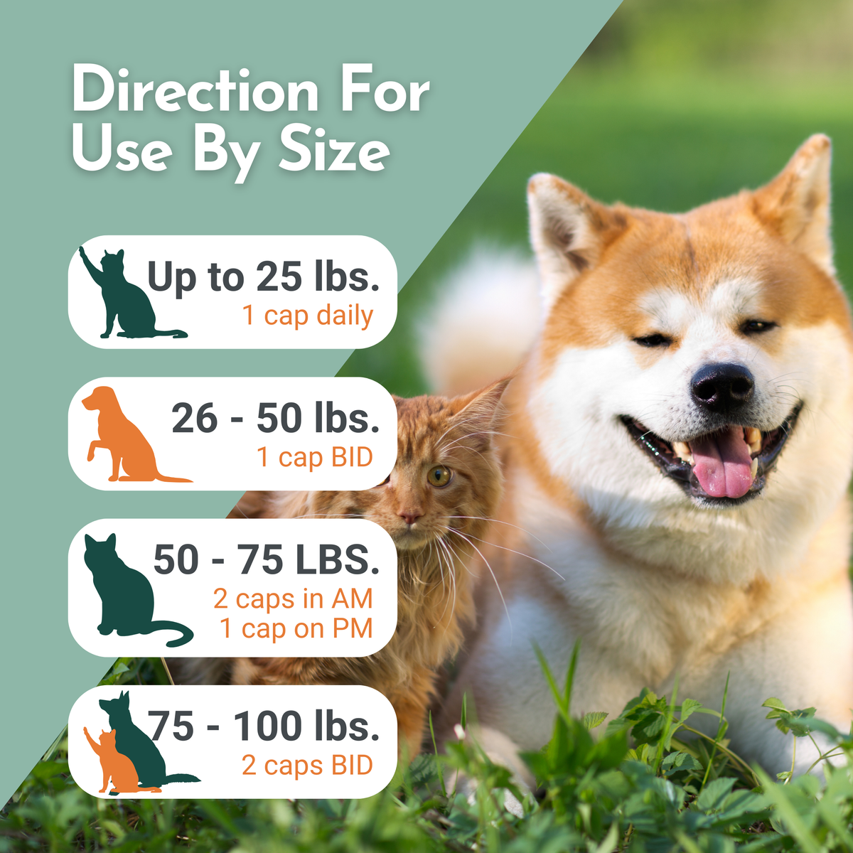 Use by size guide with serving amounts for pet weights and dog photo