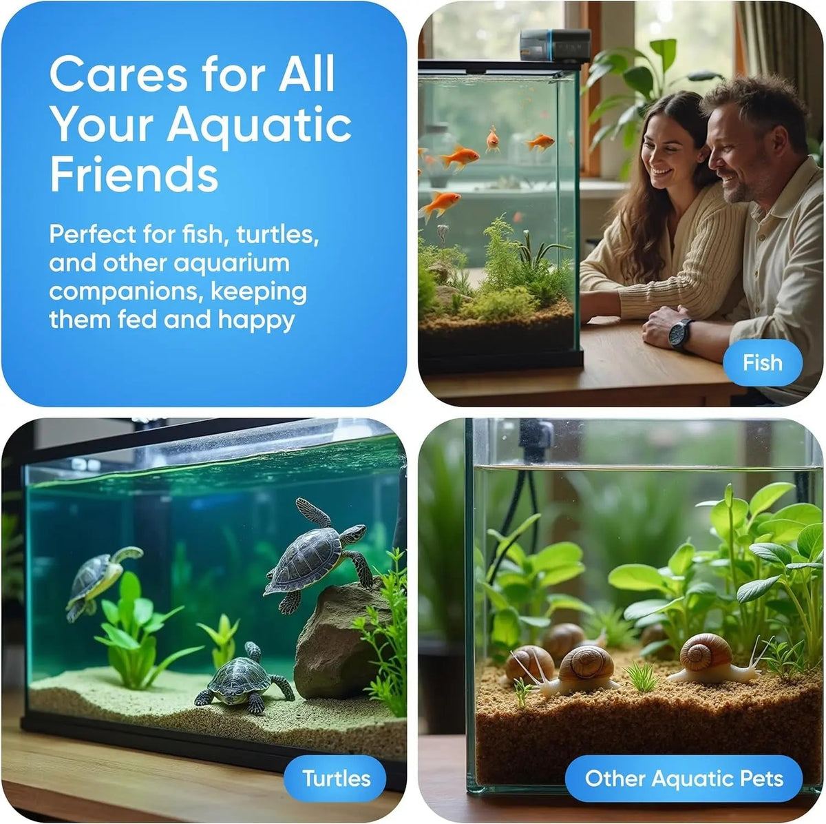Aquarium scene with fish, turtles, and other aquatic pets