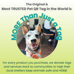 PetHub graphic with dog photo and More Than Just a Tag text
