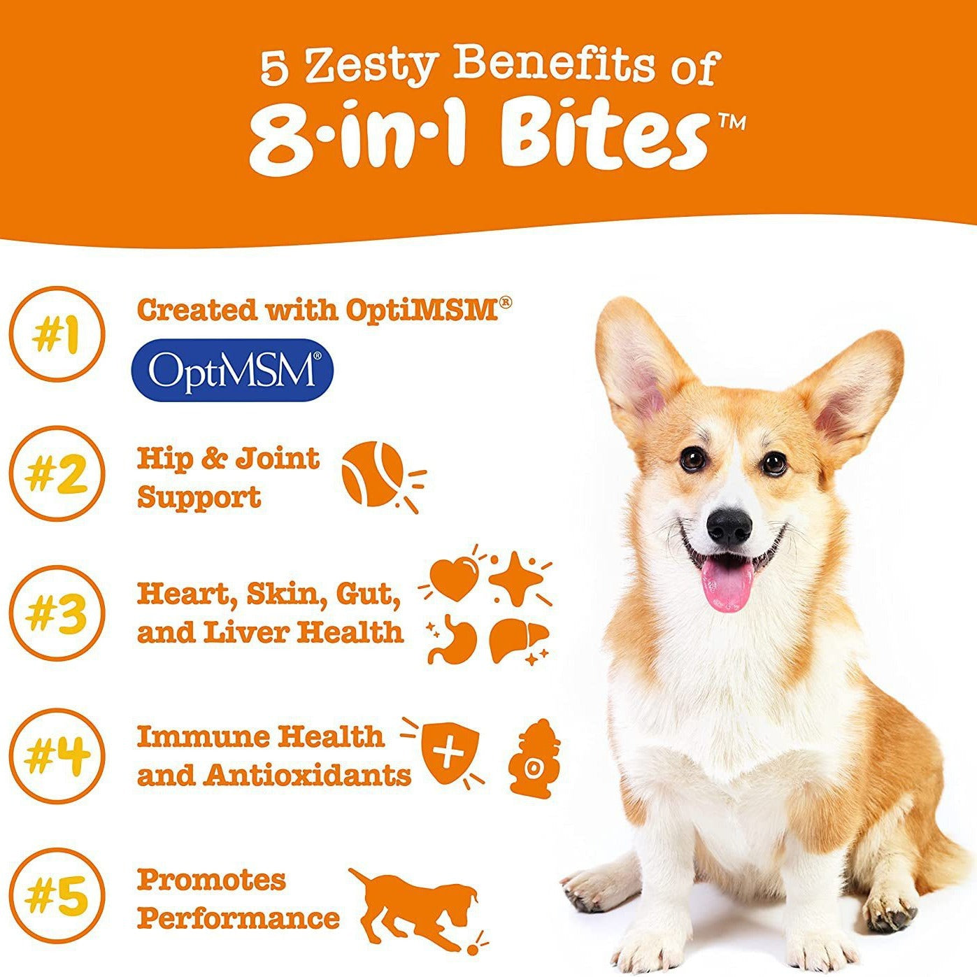 Dog vitamin bites benefits chart with corgi illustration