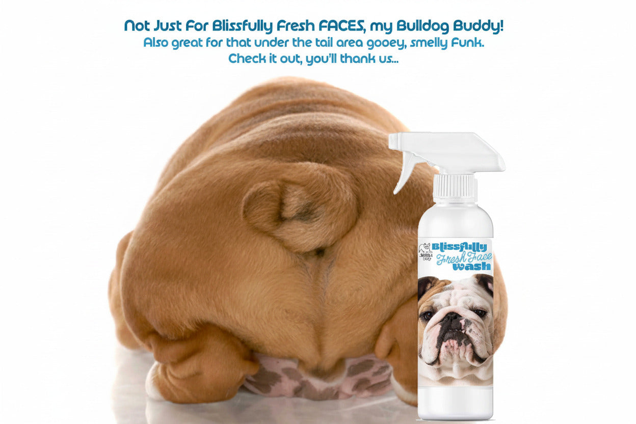 Spray face wash bottle with bulldog label, white trigger top beside dog