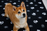 Black pet mat with white paw prints, quilted texture