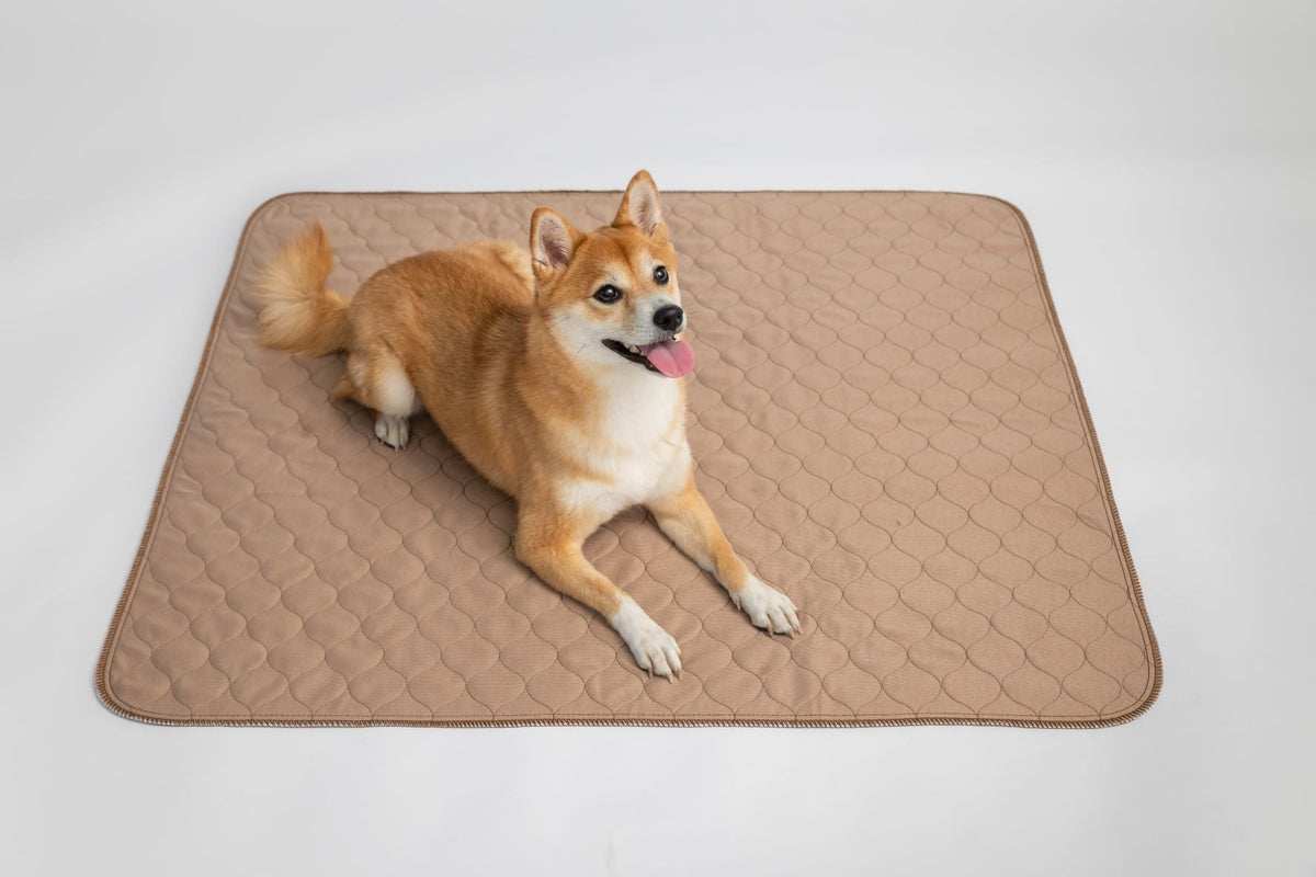 Tan quilted hex pet mat with rounded stitched border