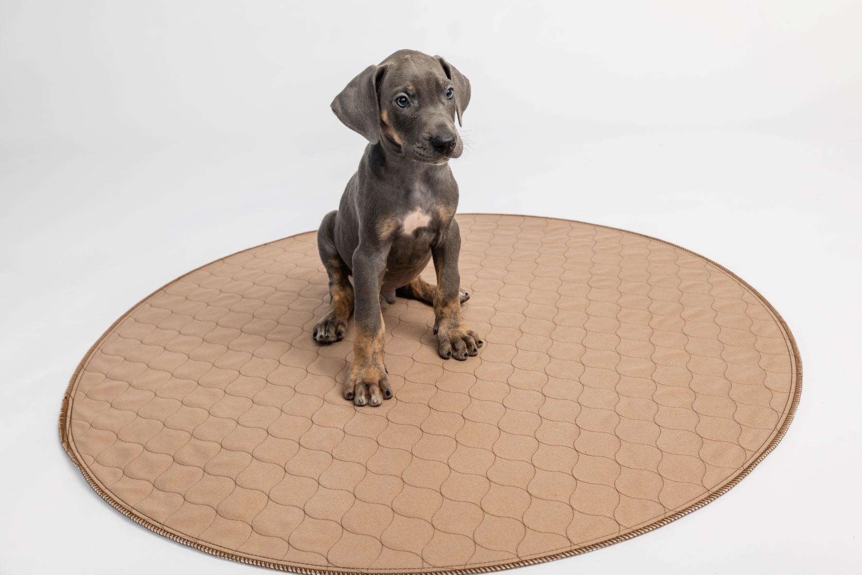Tan round quilted pet mat with stitched perimeter edge