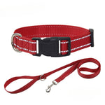 Red dog collar and leash set with striped webbing, matching leash with metal clips.