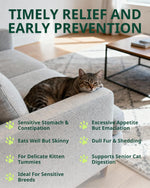 Cat constipation relief drops bottle on floor beside a resting gray tabby cat