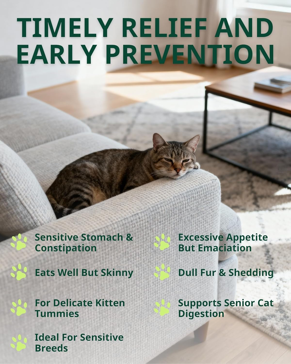 Cat constipation relief drops bottle on floor beside a resting gray tabby cat