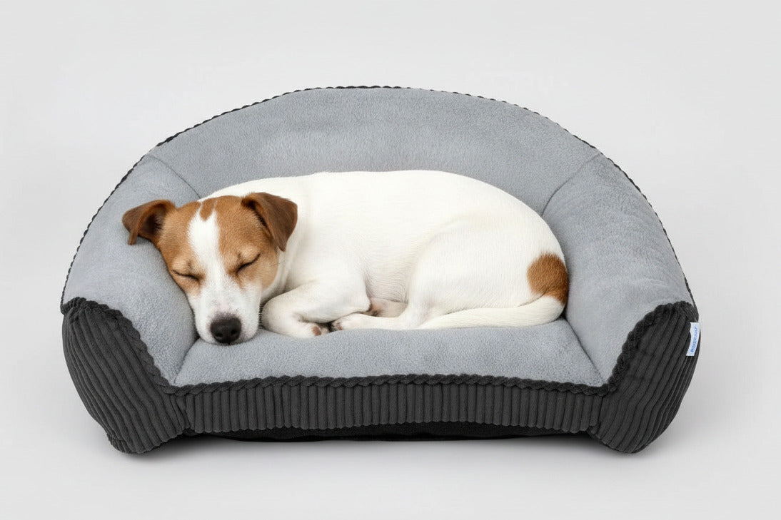 Grey faux fur pet sofa bed with small dog curled on soft top cushion and dark base