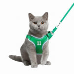 Green cat harness and leash set with bib-style mesh and matching green strap