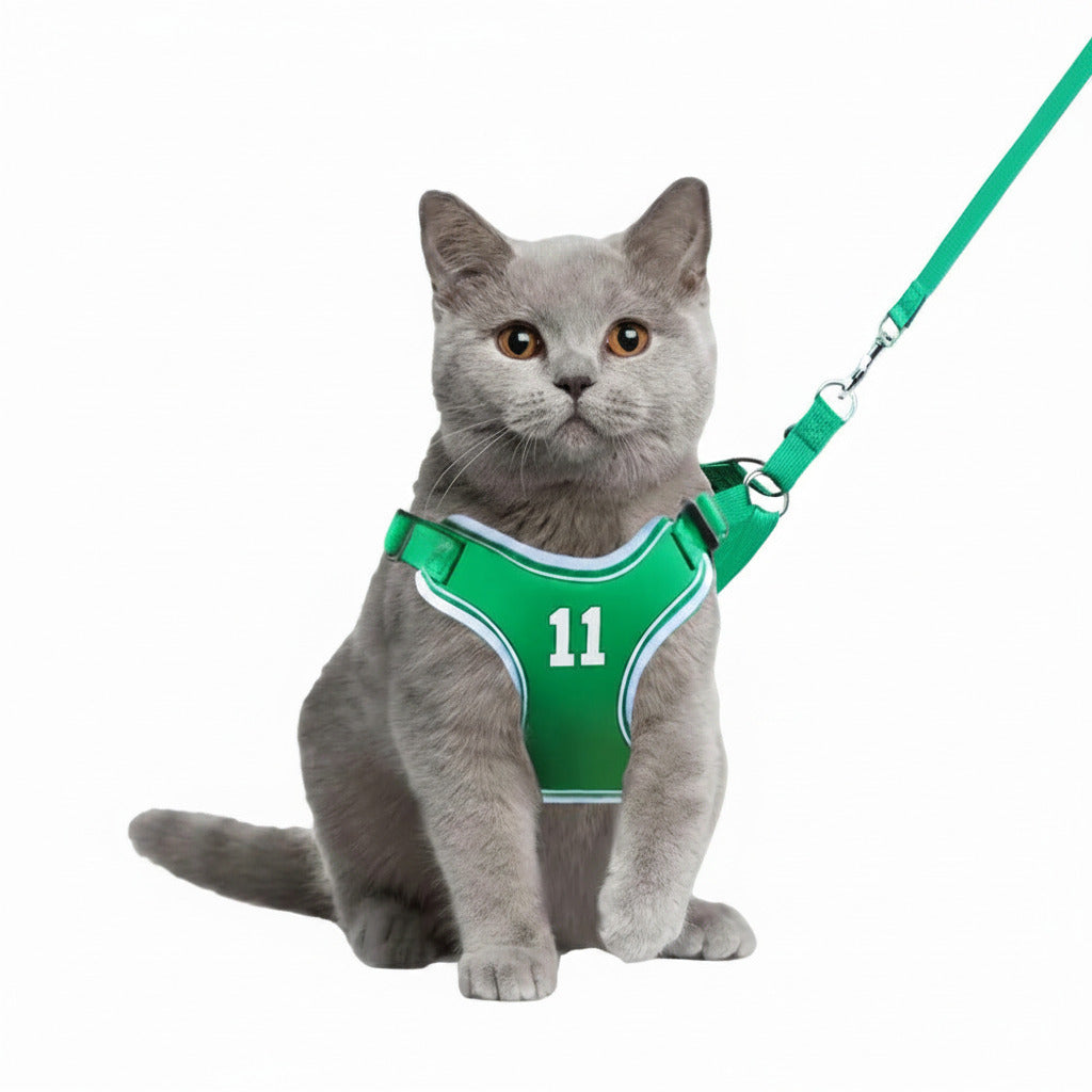 Green cat harness and leash set with bib-style mesh and matching green strap