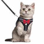 Cat wearing breathable mesh harness with dark plaid straps, red bow and leash