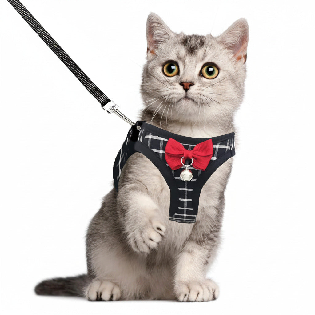 Cat wearing breathable mesh harness with dark plaid straps, red bow and leash