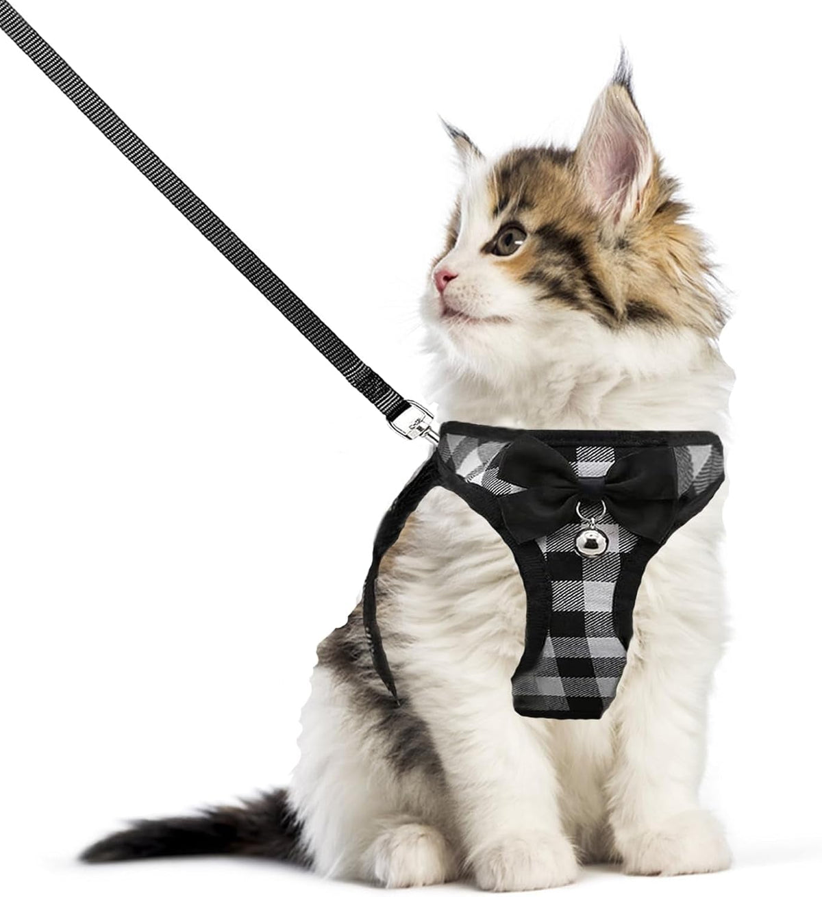 Breathable cat harness and leash in black-and-white plaid with bell and webbing