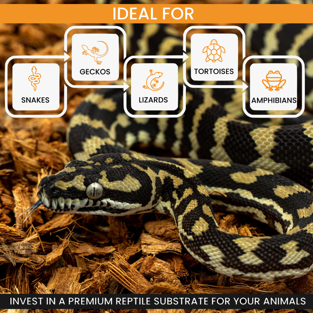 Snake on coconut chip reptile bedding with ideal-for pet icons
