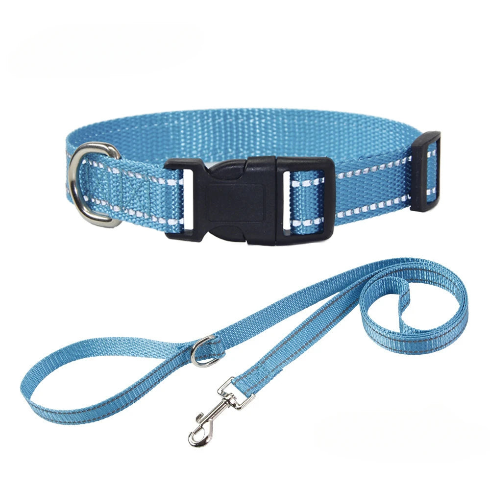 Blue dog collar and leash set with striped webbing, metal D-rings, and buckle clasp.
