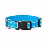 Blue dog collar with shiny accents, adjustable buckle and metal D-ring