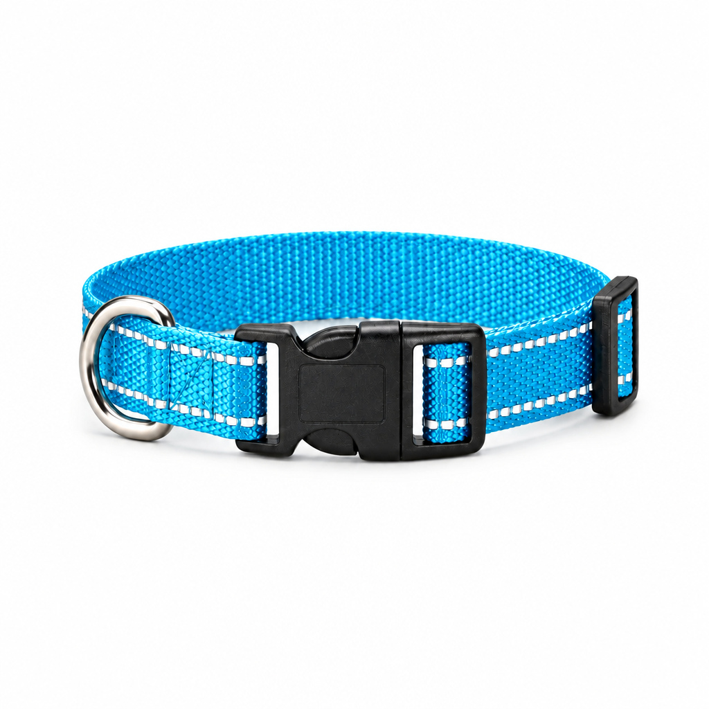 Blue dog collar with shiny accents, adjustable buckle and metal D-ring
