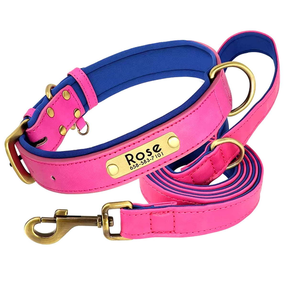 Hot pink and blue dog collar set with engraved ID tag reading Rose