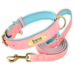 Light pink and teal dog collar set with engraved ID tag reading Daisy