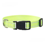 Lime green woven dog collar with black buckle and metal D-ring