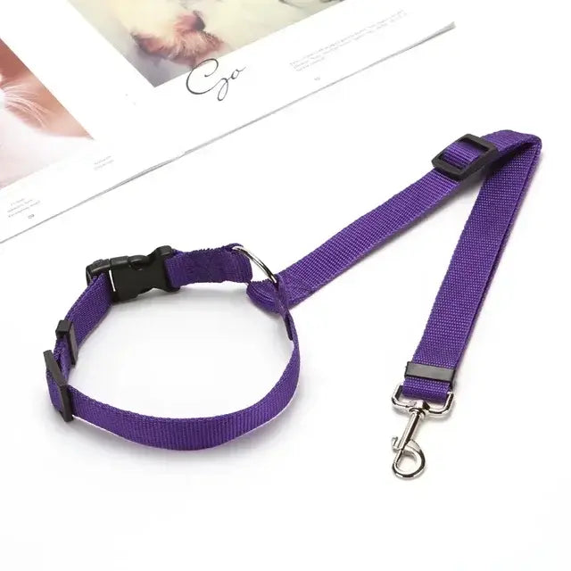Pet car safety belt & harness set, purple collar strap with matching belt and hook