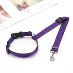 Pet car safety belt & harness set, purple collar strap with matching belt and hook