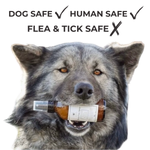 Dog with an amber flea and tick spray bottle and mist nozzle, label visible