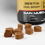Brown dog supplement treat cubes in front of Gain Muscle jar