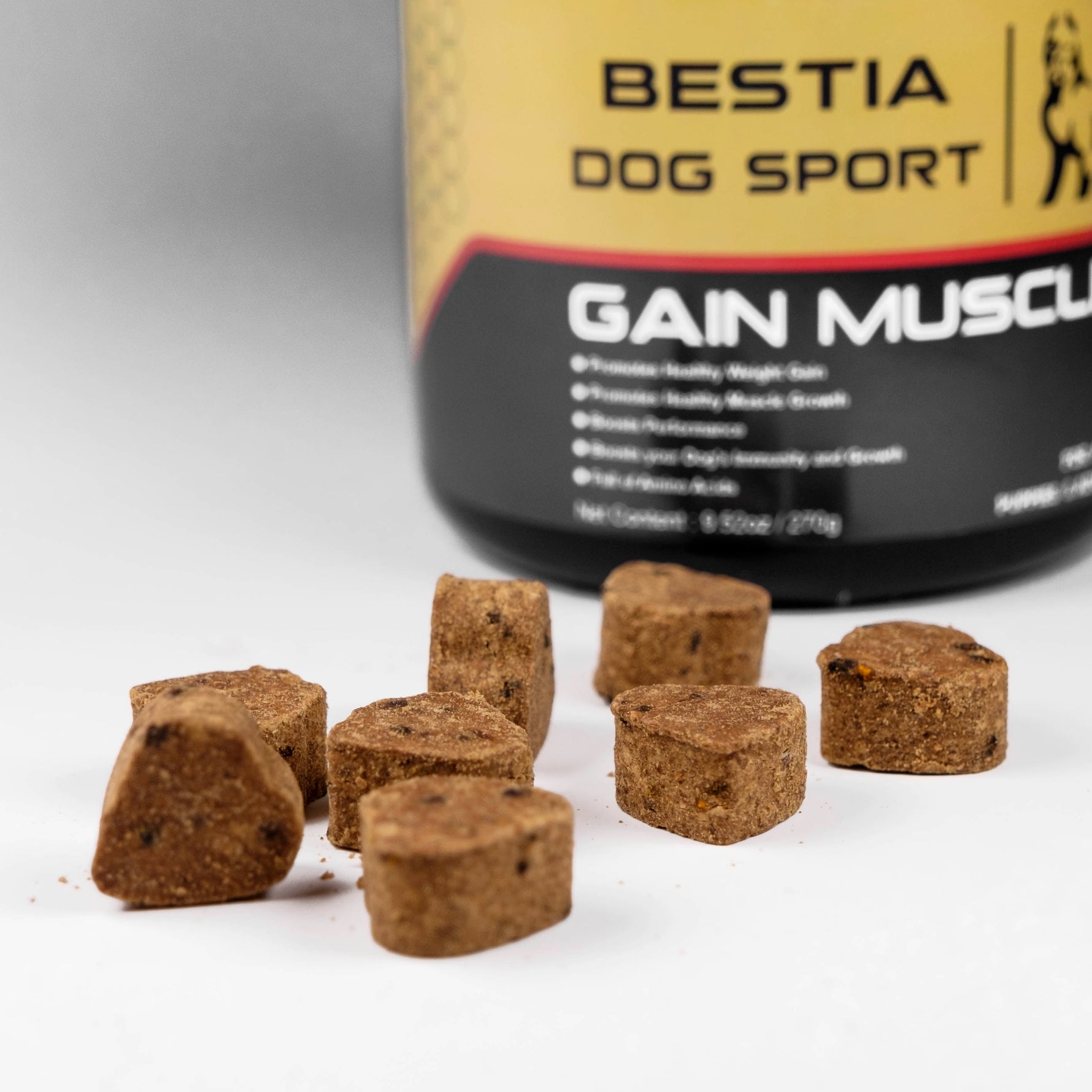 Brown dog supplement treat cubes in front of Gain Muscle jar
