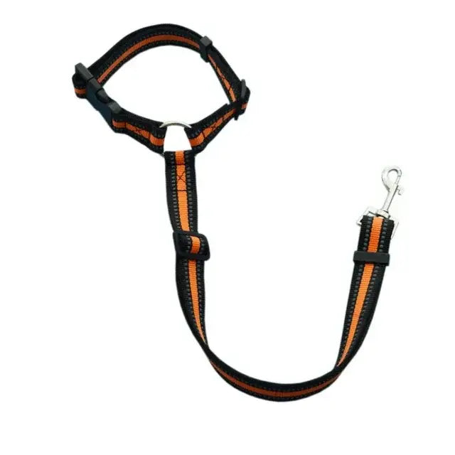 Pet car safety belt & harness, black strap with orange trim and metal carabiner