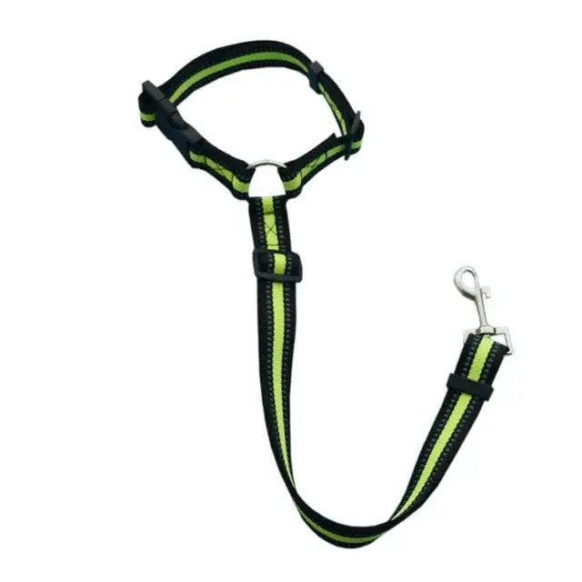 Pet car safety belt & harness, dark strap with neon green trim and metal hook