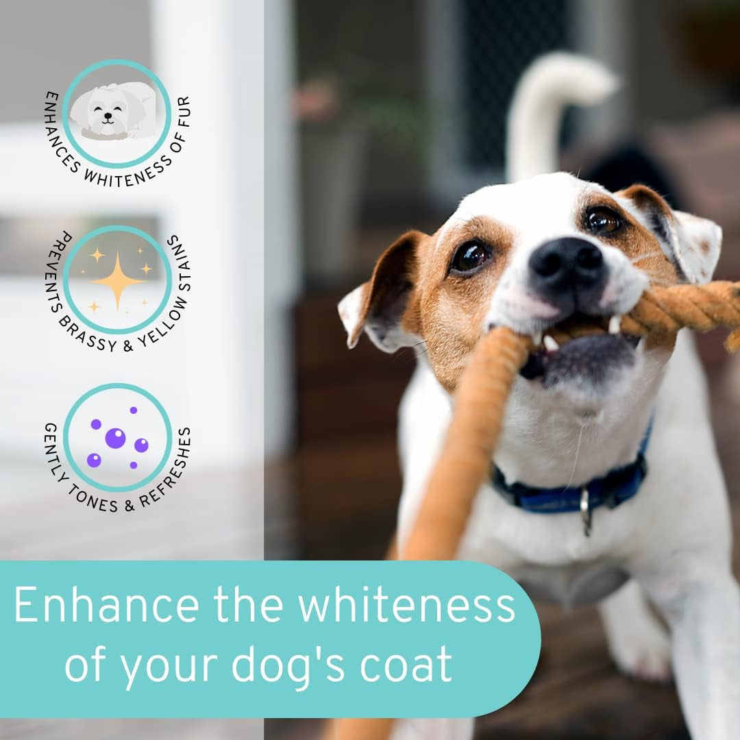 Dog whitening shampoo bottle beside a brown-and-white dog with paw raised