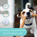 Dog whitening shampoo bottle beside a brown-and-white dog with paw raised