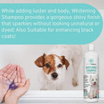 Dog whitening shampoo bottle next to a brown-and-white dog and open hand