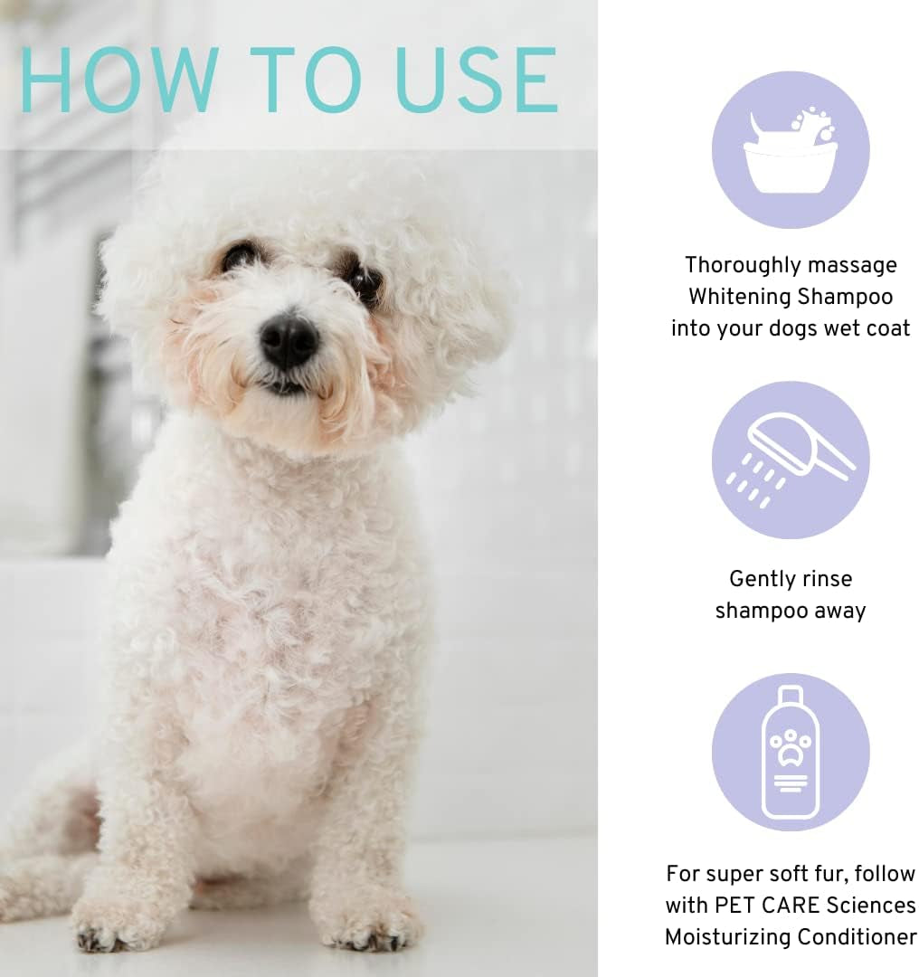 White dog sitting with a how-to-use panel for whitening shampoo