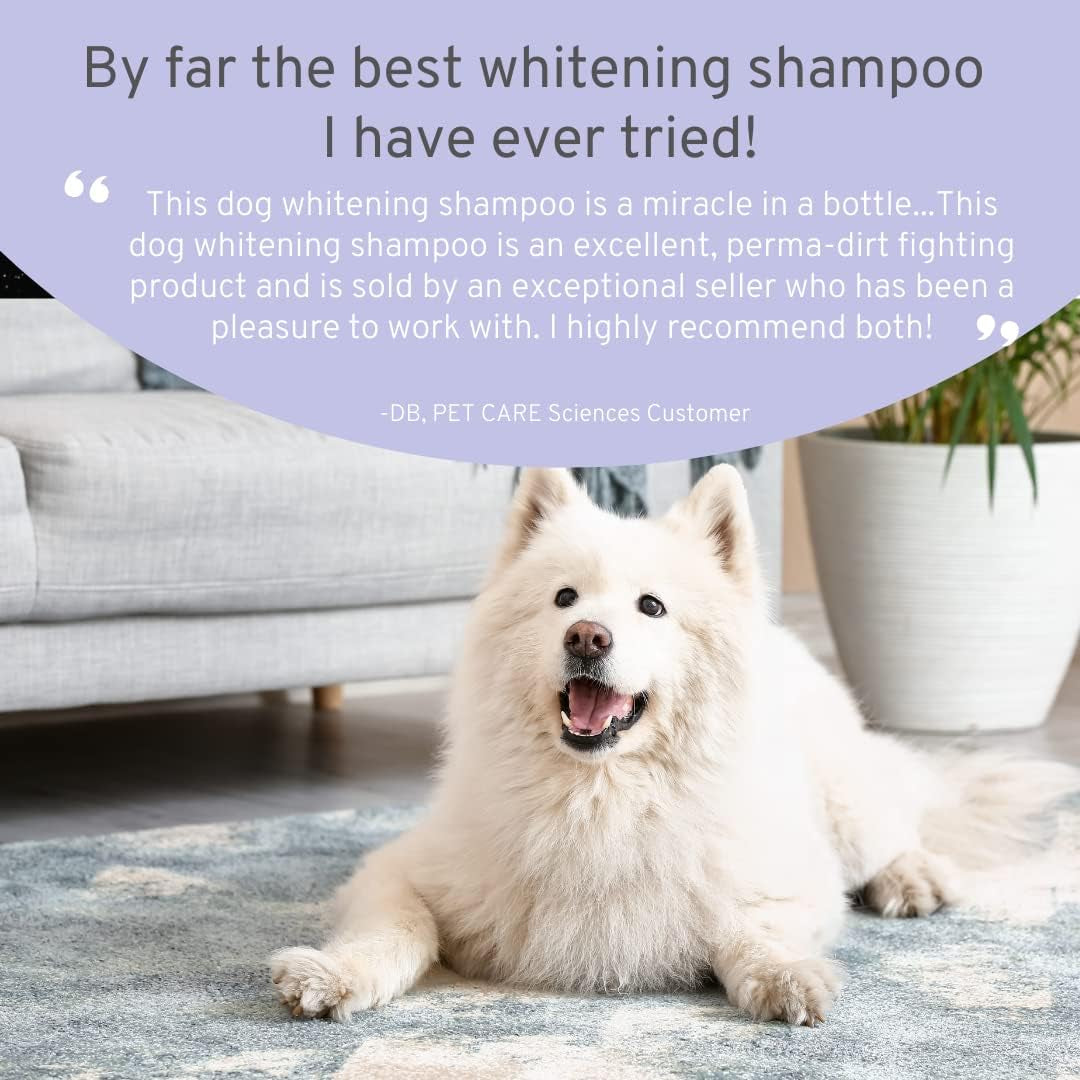 White dog lying on a couch with a customer review callout