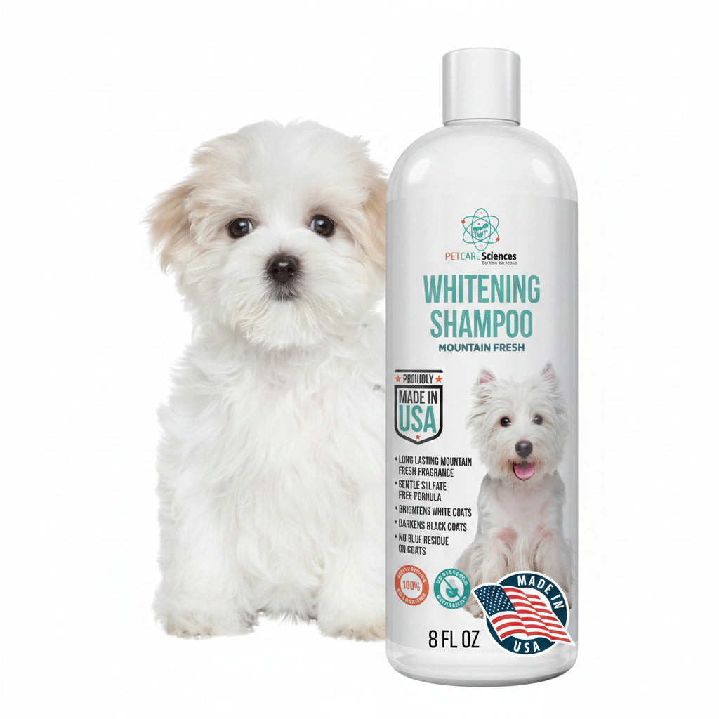 Dog whitening shampoo bottle beside a small white fluffy dog
