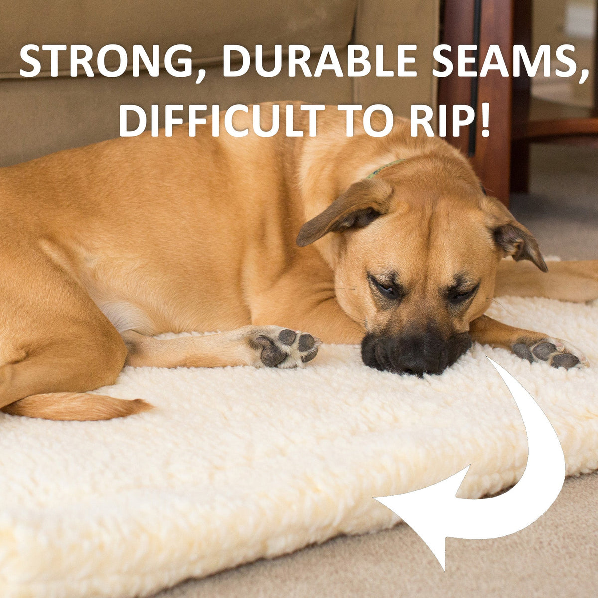 HuggleFleece® pet bed with cream fleece top and a brown dog resting