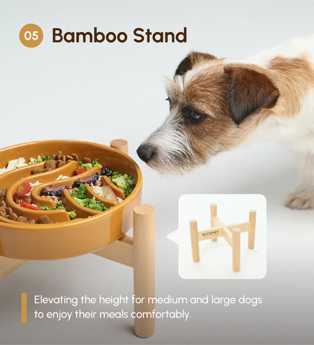 Orange ceramic slow feeder dog bowl on bamboo stand with wave insert