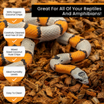 Snakes on coconut chip reptile bedding with feature icons for organic chips