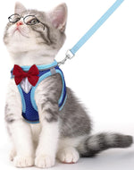 Blue reflective cat harness and leash set with red bow, adjustable strap, padded fit