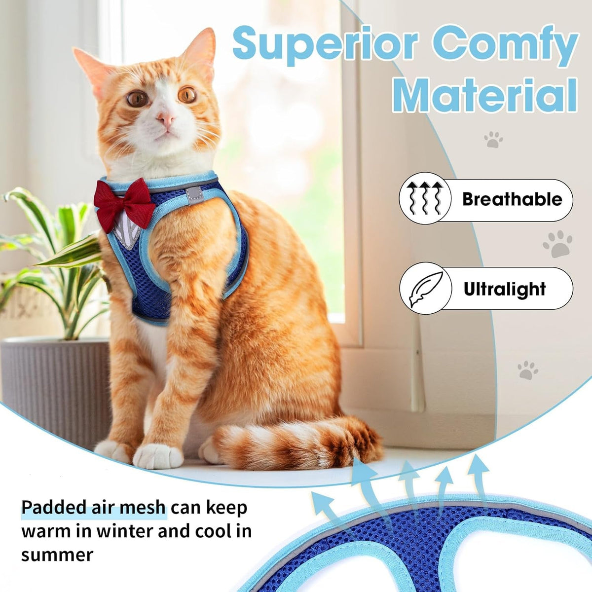 Orange cat wearing blue breathable harness with red bow; padded air-mesh chest panel