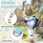 Blue cat harness with red bow and matching leash strap; front D-ring hardware visible