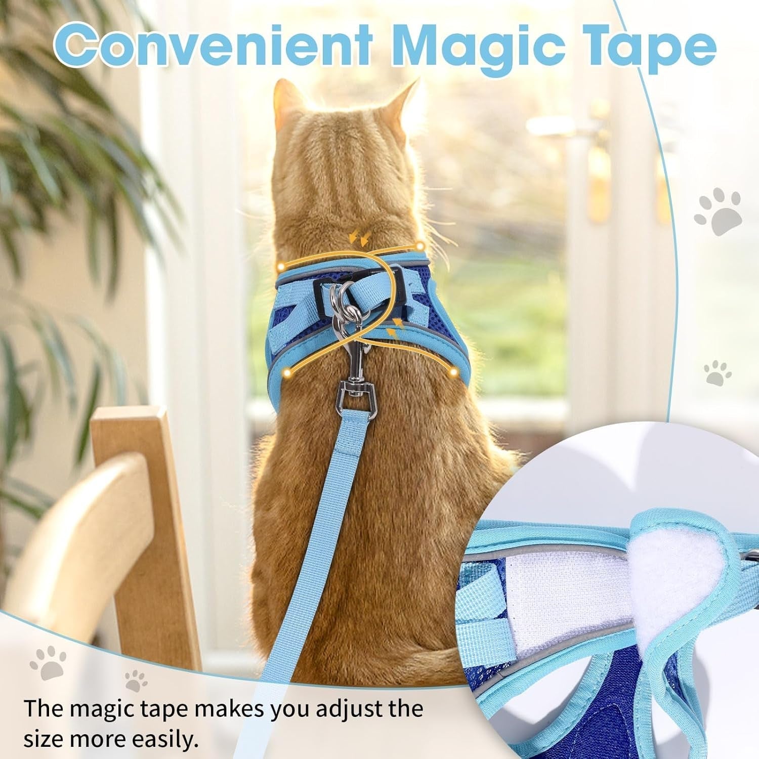 Blue and navy cat harness with red bow; light-blue leash strap and silver clip hardware