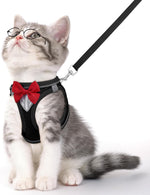 Black reflective cat harness with red bow and black leash strap; padded chest panel