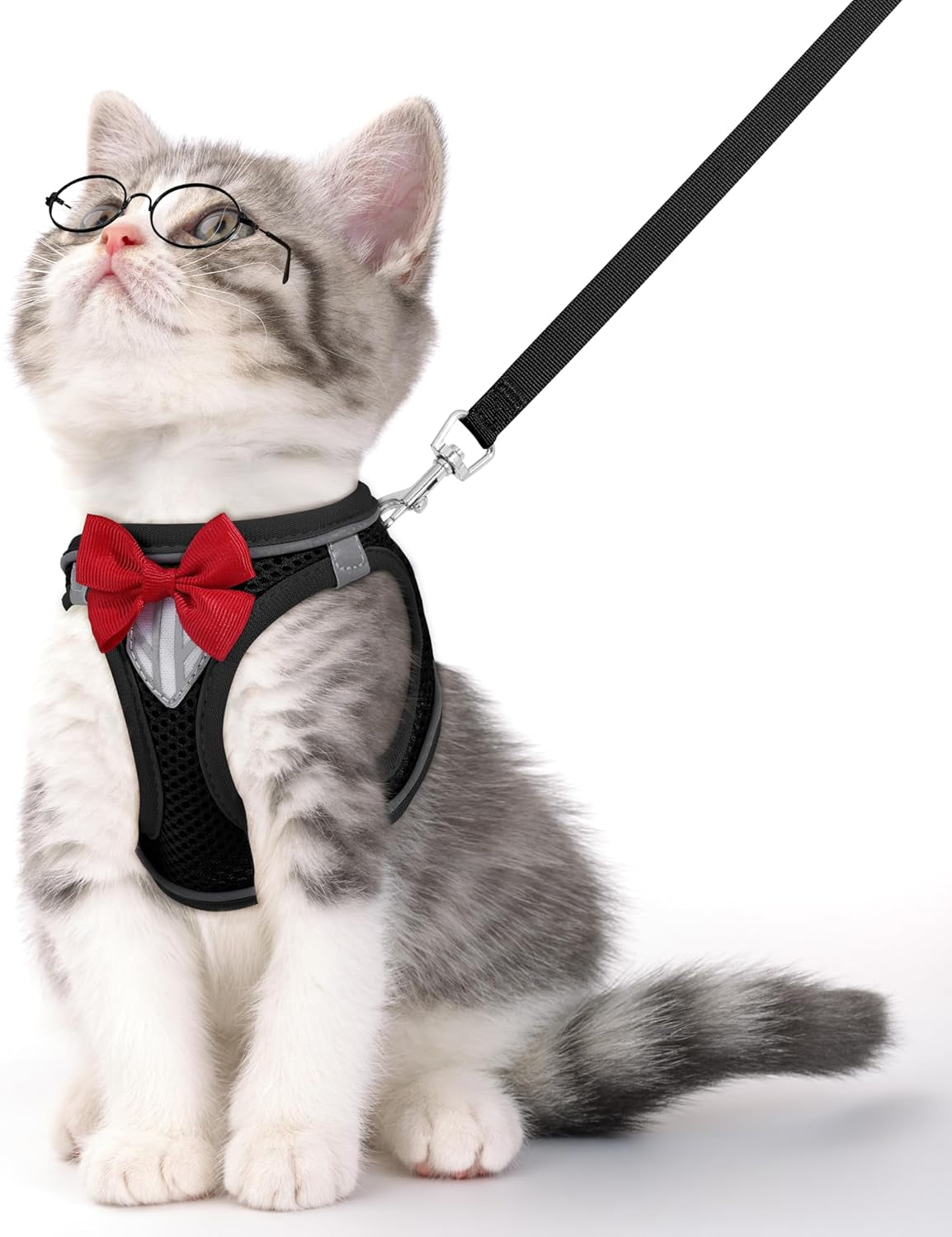 Black reflective cat harness with red bow and black leash strap; padded chest panel