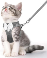 Grey reflective cat harness with white bow and grey leash strap; adjustable buckles