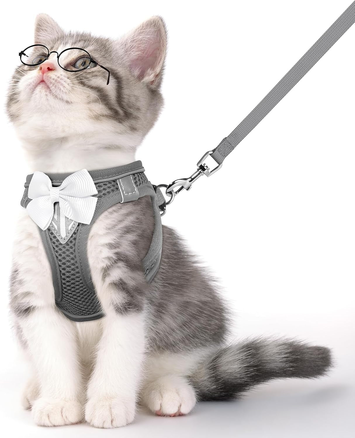 Grey reflective cat harness with white bow and grey leash strap; adjustable buckles