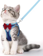 Blue reflective cat harness and leash set with red bow; padded breathable mesh panels